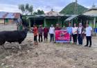 CSR Idul Adha 1447 H, Citimall Gorontalo Salurkan Sapi Kurban untuk Warga Kota Gorontalo
